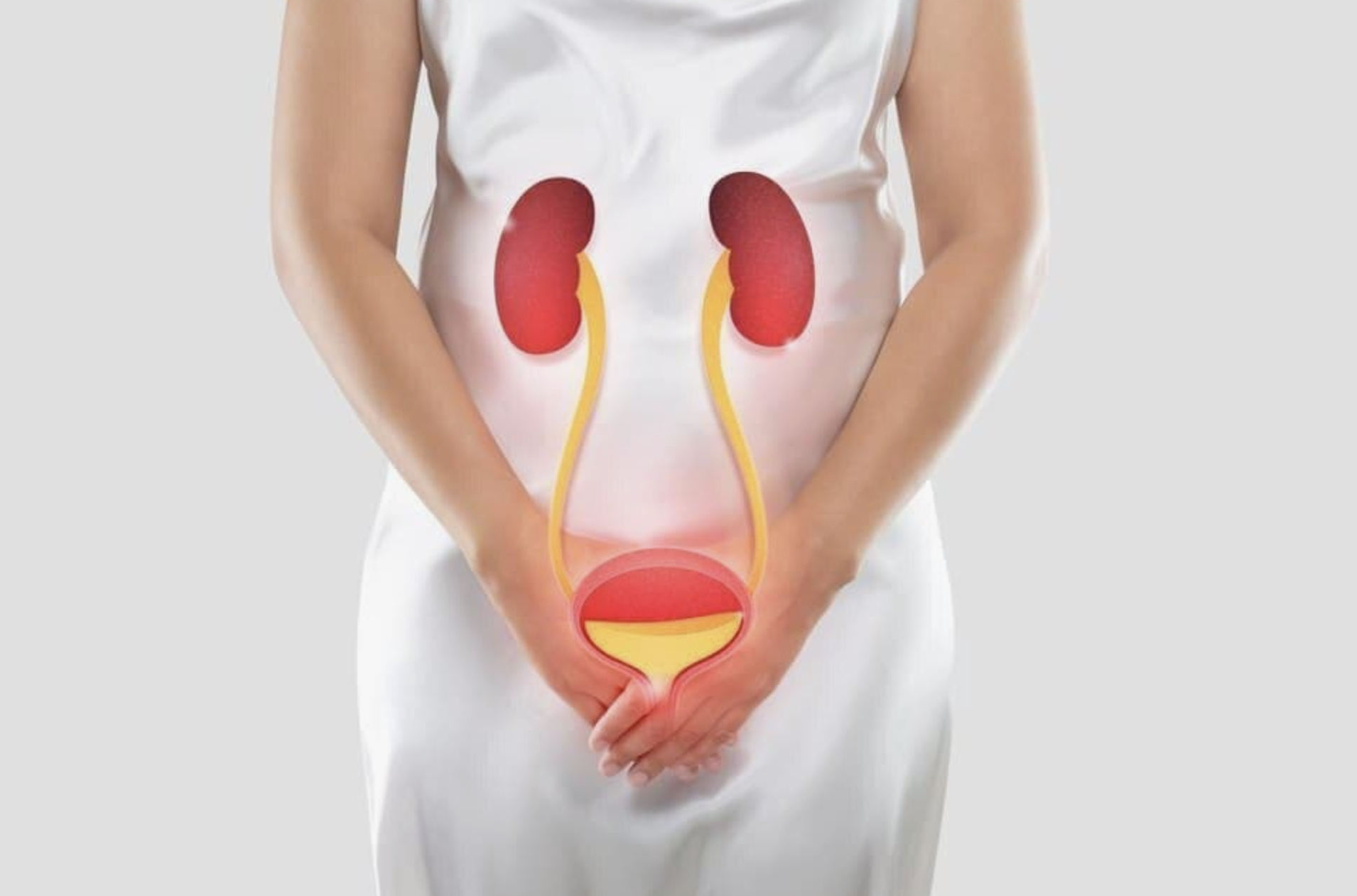 Mengenal Anatomi Sistem Urinaria dan Faktor Pemicu Gangguan Kandung Kemih